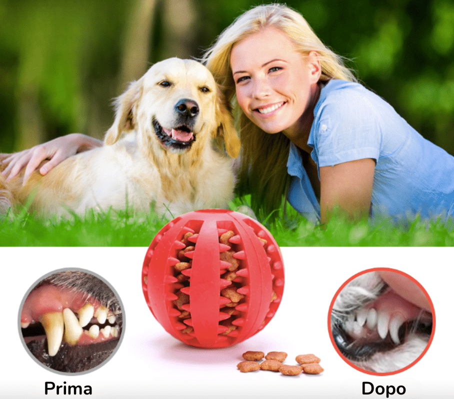 FleaPet™ Pallina Interattiva per Cani