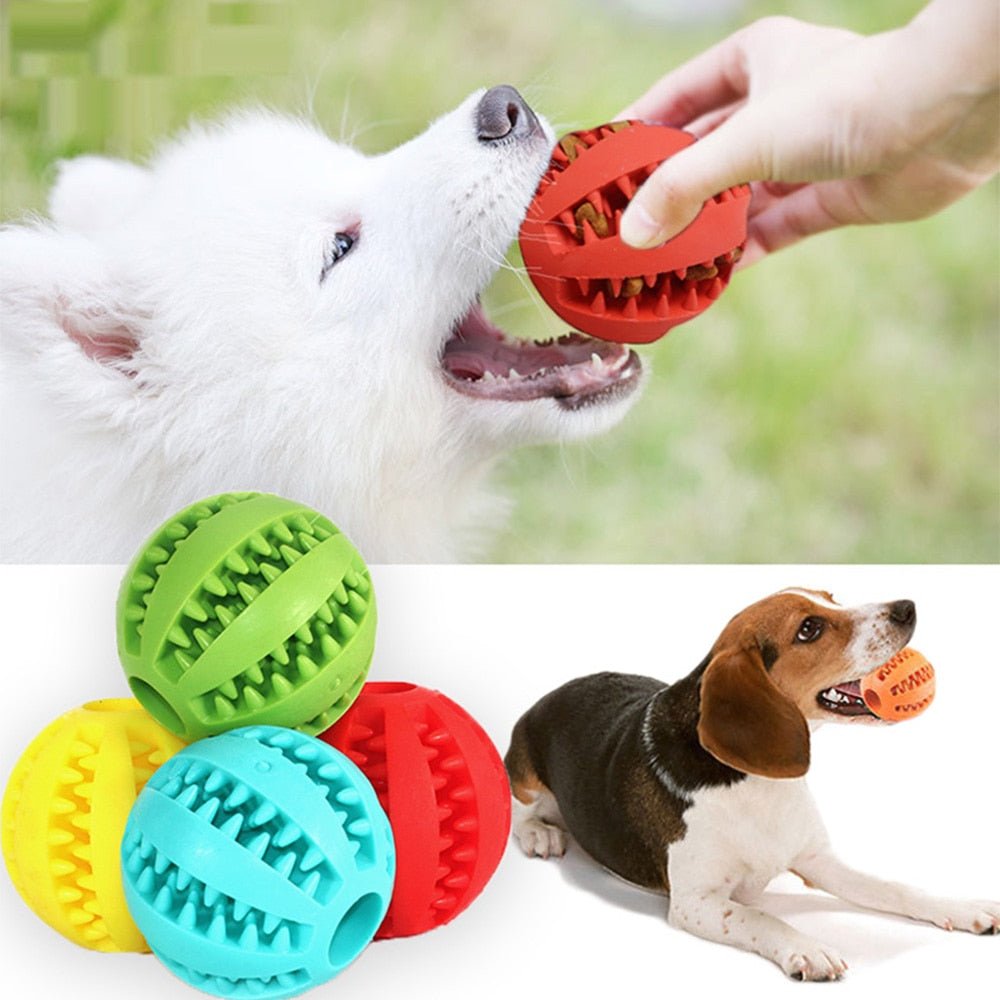 FleaPet™ Pallina Interattiva per Cani