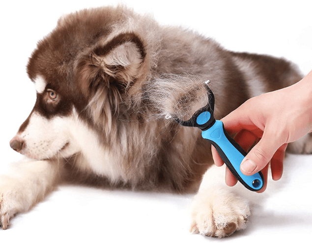 FleaPet™ Spazzola Professionale per Cani e Gatti